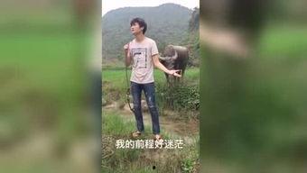 国产青鱼福利视频在线,探寻水族养殖新篇章