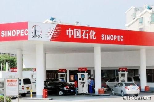 男人福利加油站在线,揭秘男性专属健康生活指南